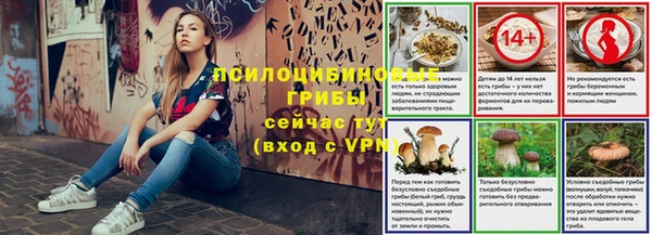СК Алексеевка
