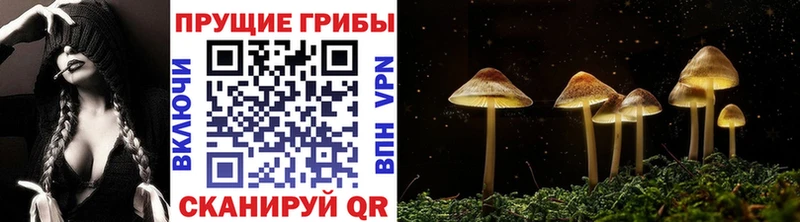 Галлюциногенные грибы Psilocybine cubensis  Бахчисарай 